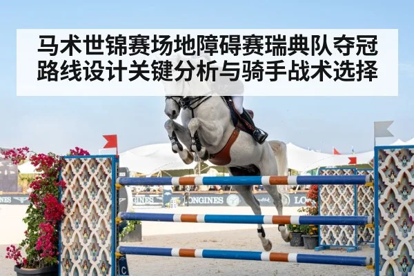 horse rider competition